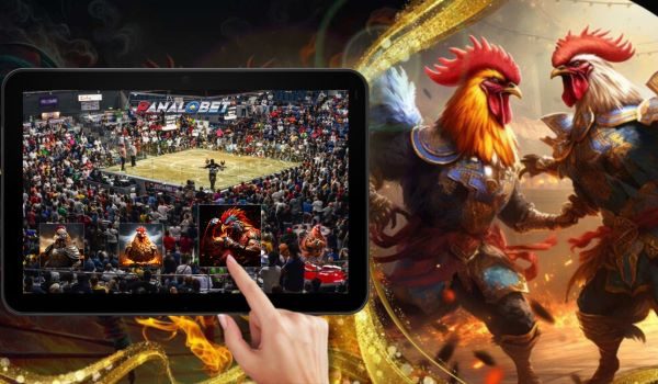 Responsible Betting Practices in Online Sabong