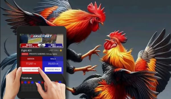 Responsible Betting Practices in Online Sabong